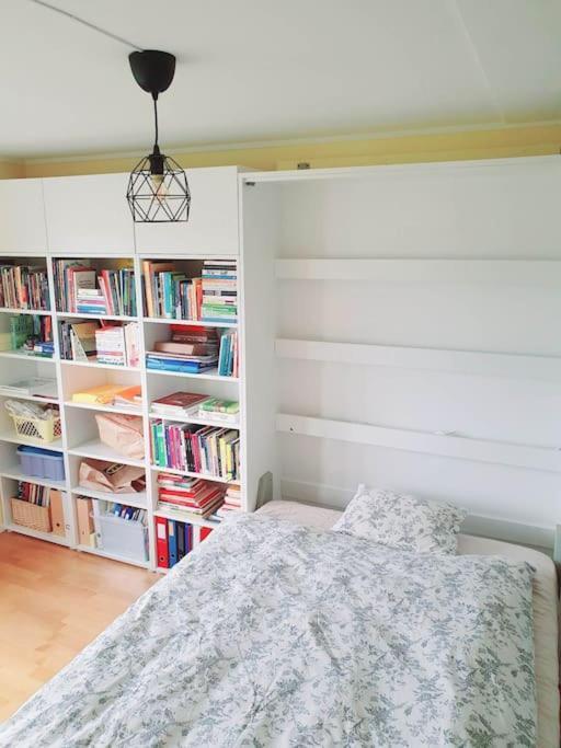 - Quiet And Cosy With Cat And Garden Oslo