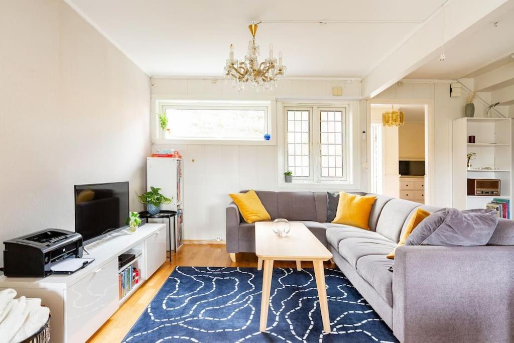 - Quiet And Cosy With Cat And Garden