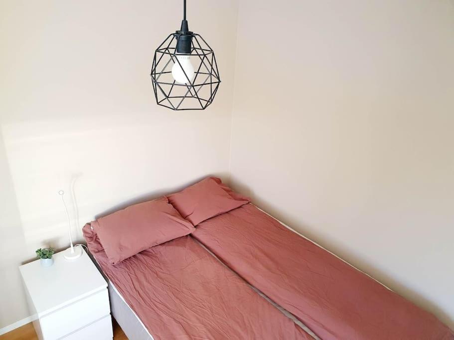 - Quiet And Cosy With Cat And Garden