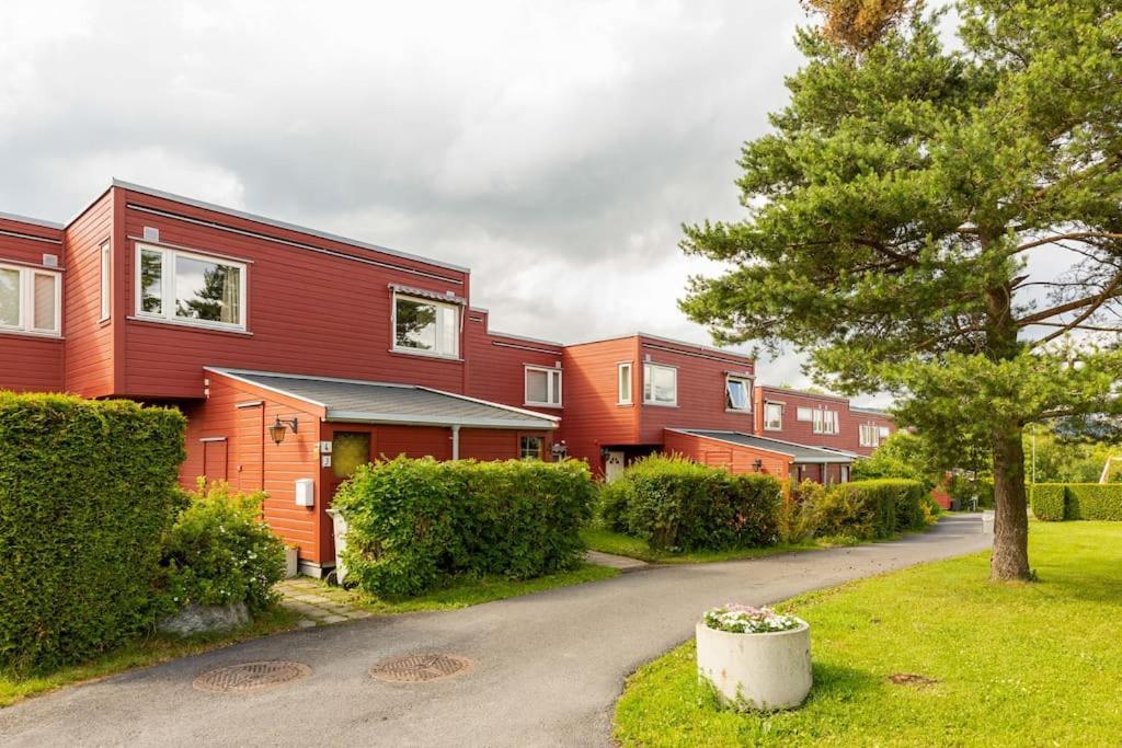- Quiet And Cosy With Cat And Garden Oslo